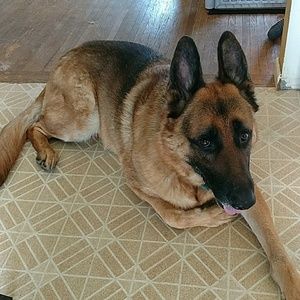 Meet your Posher, Desiree